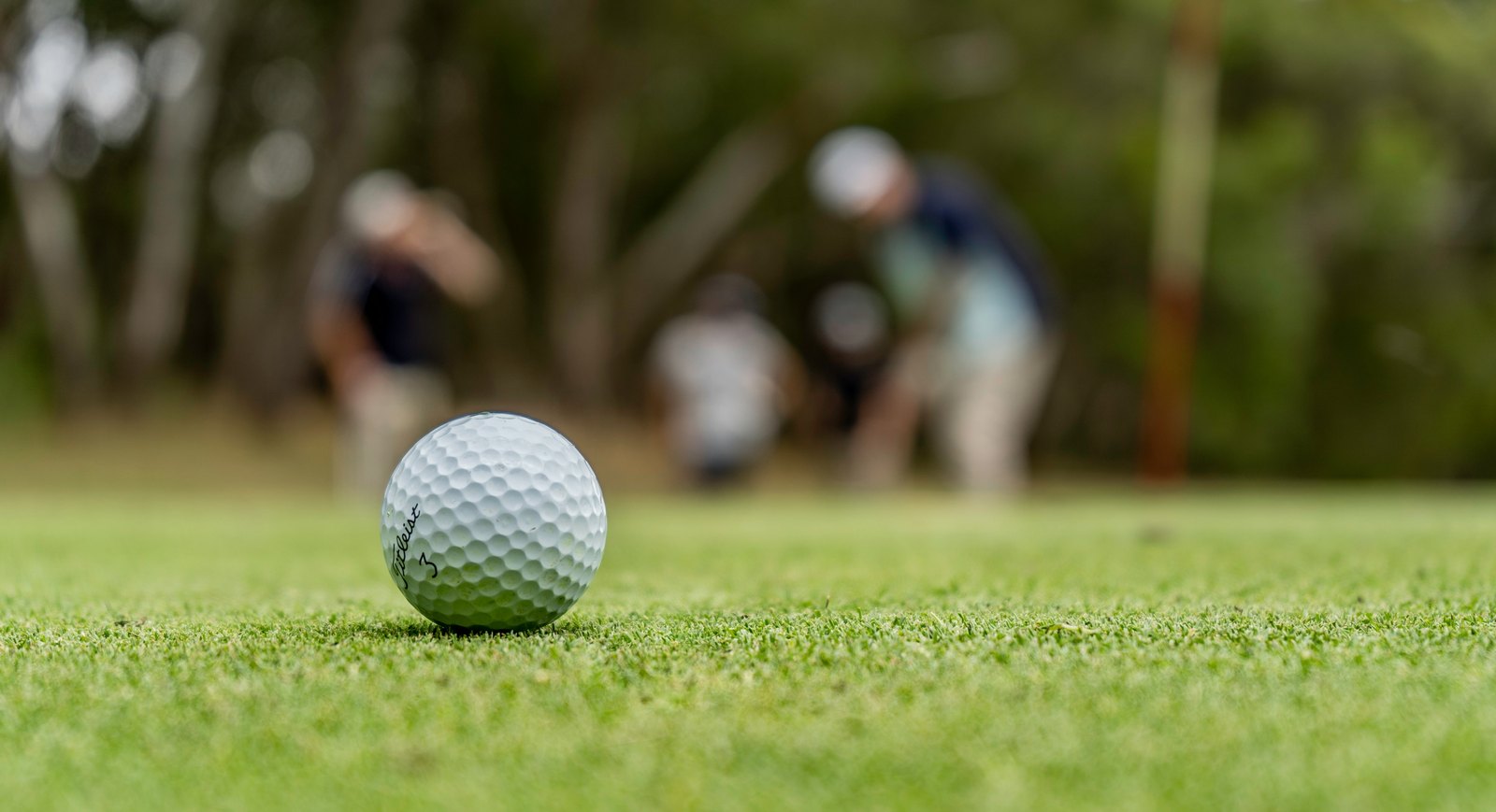 Two people walking a quiet golf course together